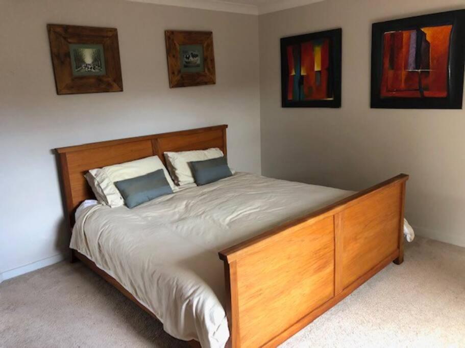 Sunny, Quiet, 2-Bedroom Unit In Fabulous Location! كامبريدج المظهر الخارجي الصورة